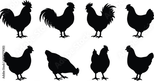 Black Chicken and Rooster Silhouette Set Illustration Showing Farm Poultry Birds, Animal Icons, Rural Livestock Collection Vector Graphic Design Elements