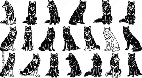 Wolf sitting poses black silhouette vector set isolated on white background wild canine animal illustration collection design