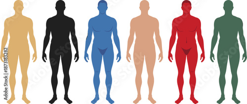 Six Human Body Silhouettes in Different Colors Standing Side by Side male figure