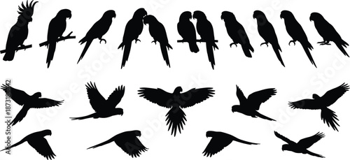 Black parrot and macaw silhouette collection, exotic tropical bird silhouettes set in flying and perched poses, isolated on white background