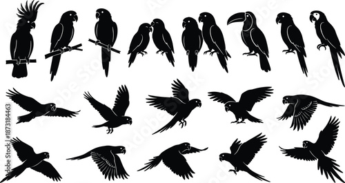 Black parrot silhouette collection, tropical bird vector set, macaw cockatoo toucan flying perched illustrations, exotic jungle wildlife nature design elements, isolated