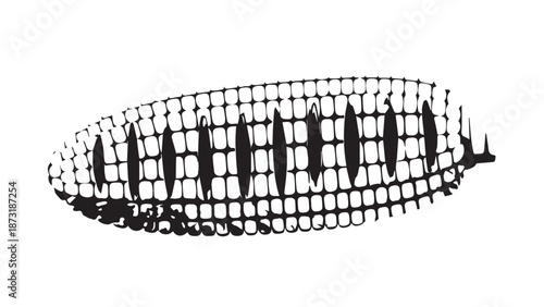 Close-up of grilled corn on the cob with visible kernels and charred texture.