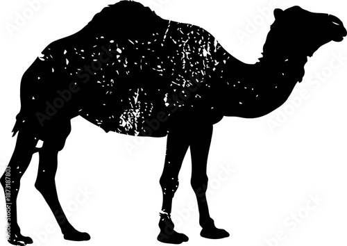 Silhouette of a camel with distressed texture isolated on white background