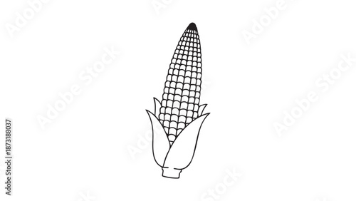 Illustrated corn on the cob with husk and kernels in a clean monochrome drawing style.