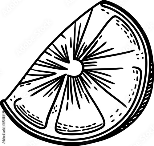 lemon slice illustration hand drawn citrus fruit segment, detailed black and white sketch of fresh lemon wedge