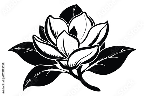 Hand-Drawn Style Magnolia Flower Silhouette, Monochrome Botanical Vector for Pattern Design
