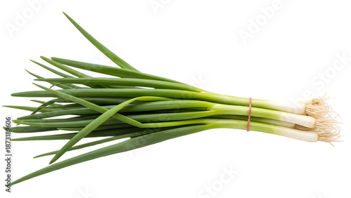 A bunch of fresh green onions isolated on transparent background