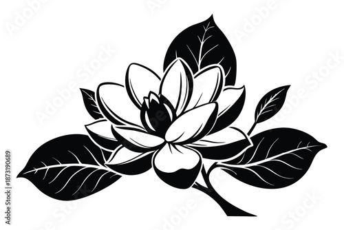 Quadro su tela Sophisticated Magnolia Tree Branch Silhouette, Black Ink Floral Vector Design fo