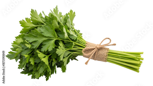 Fresh parsley bunch isolated on transparent background with twine