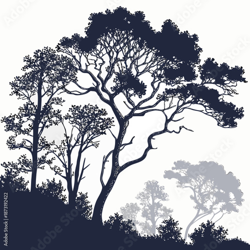 Silhouette of a majestic tree