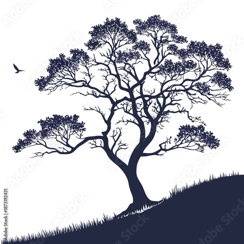 Silhouetted tree on hillside