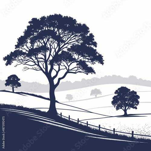 Silhouette of a tree in a countryside landscape