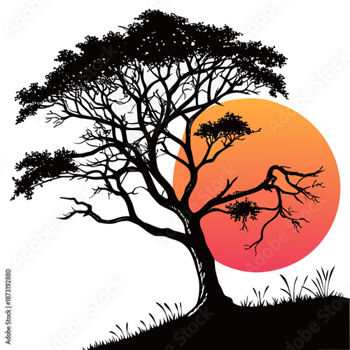 Silhouetted tree at sunset