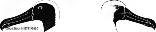 black bird silhouette on white background