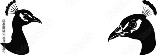 black bird silhouette on white background