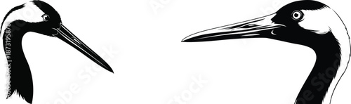 black bird silhouette on white background