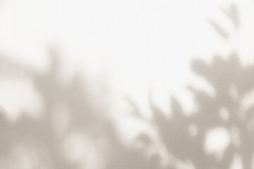Leaf shadow and light beige background. Nature tropical leaves plant and tree branch shade with sunlight on wall texture for background wallpaper and design, shadow overlay effect
