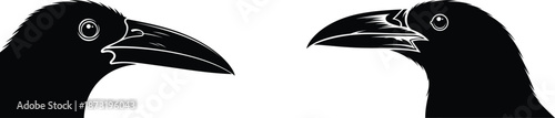 black bird silhouette on white background