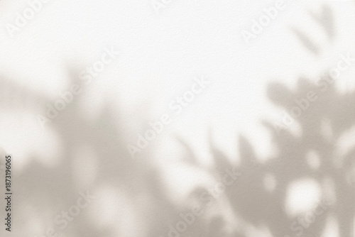 Leaf shadow and light beige background. Nature tropical leaves plant and tree branch shade with sunlight on wall texture for background wallpaper and design, shadow overlay effect © merrymuuu