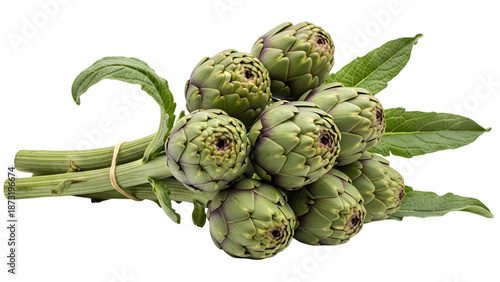 A bunch of fresh artichokes isolated on transparent background