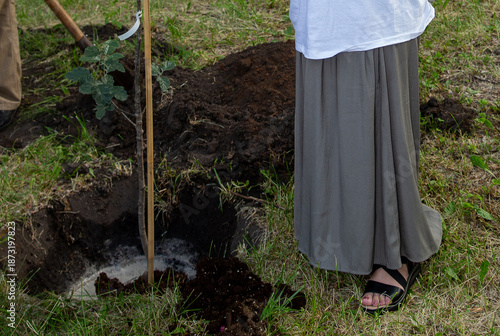 A woman plants young trees in a city park