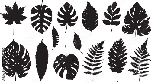 Assortment of black silhouette cutouts of various tropical and deciduous leaves on a white background