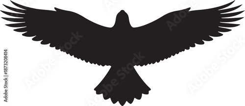 Black silhouette of a bird of prey with wings outstretched in a downward facing flight pose vector