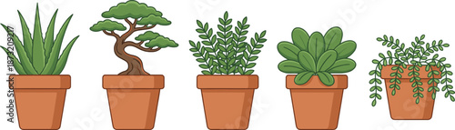 Potted indoor houseplants illustration, aloe bonsai succulent foliage plants, flat vector design, home decor gardening concept set collection modern minimal
