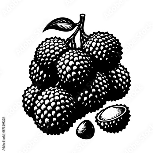 Detailed black and white illustration of a cluster of mulberries with a leafy stem one cut open fruit and a seed on a plain background.