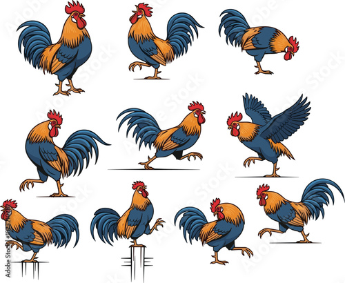 Cartoon rooster poses, animated chicken, farm animal character, colorful feathers, dynamic movement, poultry mascot, fun illustration, motion sequence