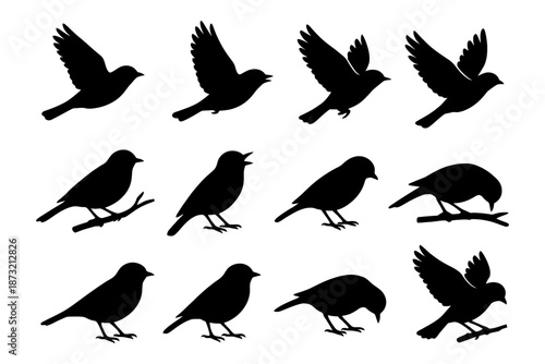 Silhouettes of birds: diverse poses of small birds in flight and perching.