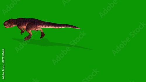 Ultra Realistic 3D Gigantosaurus Walking Left Side on Green Screen