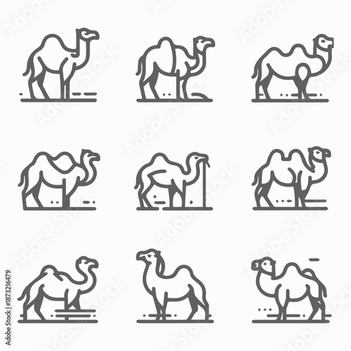 A set of nine black line icons depicting camels in various poses on a white background with simple shading.