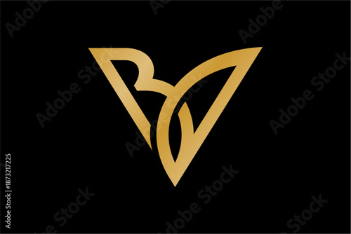 BV Letter Flower Luxury Logo