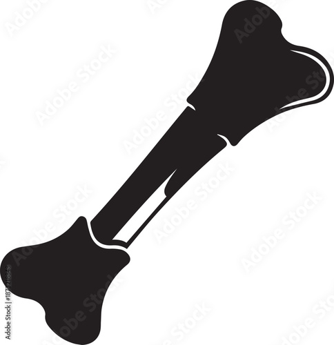 Illustrated single bone