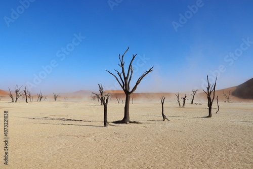 Deadvlei, Namibia. 07-10-2025. Famous white clay plain with the skeletal remains of ancient trees, fringed by desert dunes.