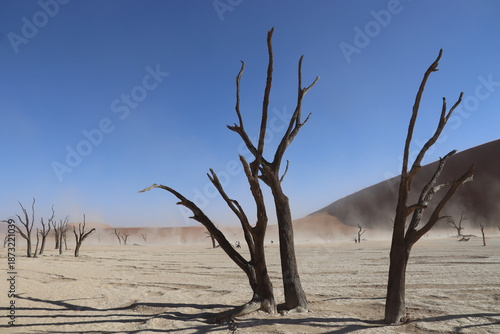 Deadvlei, Namibia. 07-10-2025. Famous white clay plain with the skeletal remains of ancient trees, fringed by desert dunes.
