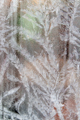 Принти на полотні Window frost, caused by vapour condensing on cold glass, forming frost patterns