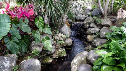 Wandcirkels Toilet Waterval met roze bloemen in tuin  © agung