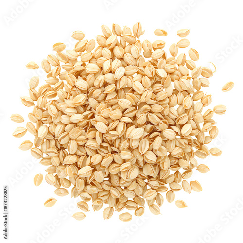 Oats Stacked in a Pile Showing Their Shape and Color