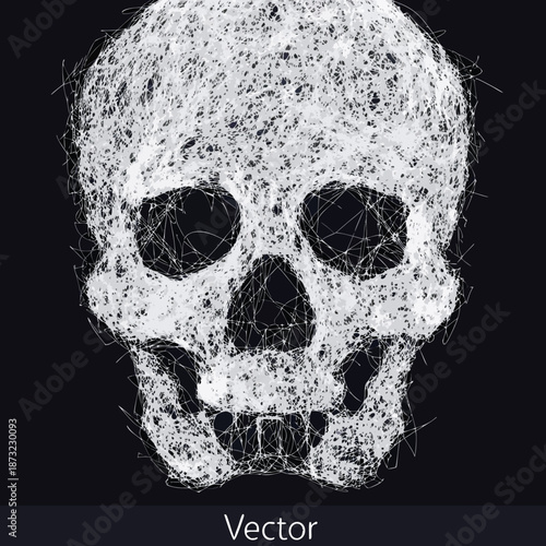 Intricate Skull Sketch: A detailed, artistic sketch of a human skull, rendered in delicate lines and shadows, evoking a sense of mortality and artistic beauty.