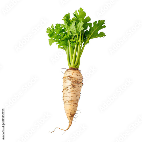 Fresh White Radish With Green Leaves on a White Background in a Kitchen Setting