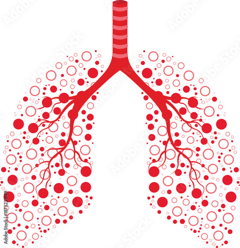 Human lungs diagram and respiratory system design.