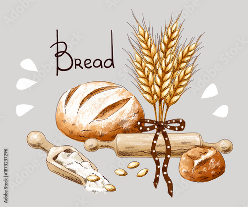 Composition with different types of bread, baked goods, ladle with flour, rolling pin and ears of wheat. Imitation of pastels, hand-drawn.