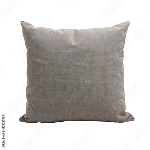 Decorative Pillow Displayed on a Plain Background for Home Interior Design Ideas