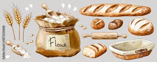 Collection of different types of bread, baked goods, wicker basket, ears of wheat, grains, rolling pin, ladle with flour, flour bag. Imitation of pastels, hand-drawn.
