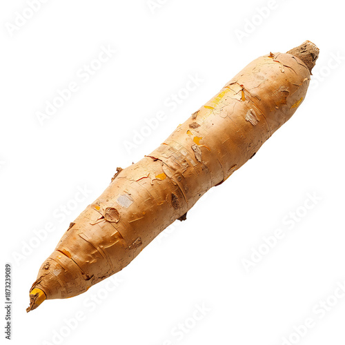 Sweet Potato Grown in a Farm During Autumn Harvest Season