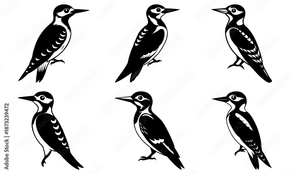 Fototapeta premium Six Woodpeckers Silhouettes on White Background bird black