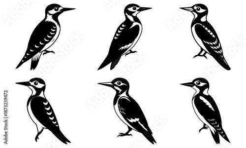 Six Woodpeckers Silhouettes on White Background bird black