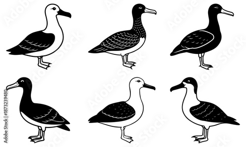 Six black and white bird silhouettes on a white background waterfowl
